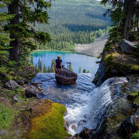 Meet your Posher, Shawna - Picture 1 of 1